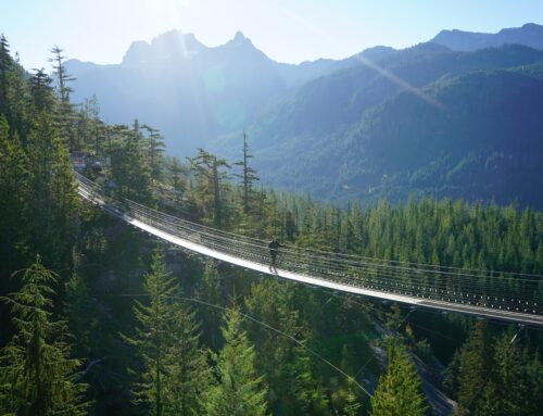 Seul 1% des indépendants font encore appel au droit passerelle