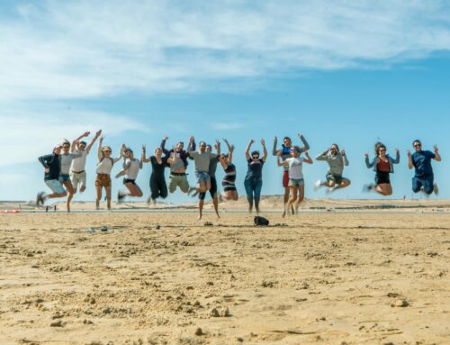 We are hiring : un.e comptable-fiscaliste Senior