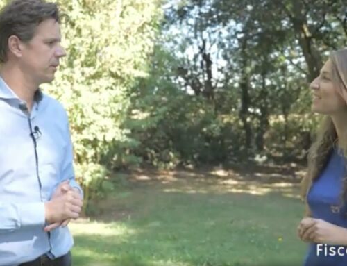 La réforme fiscale : relax, ce n’est qu’un projet ?